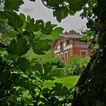 Labeondo-2